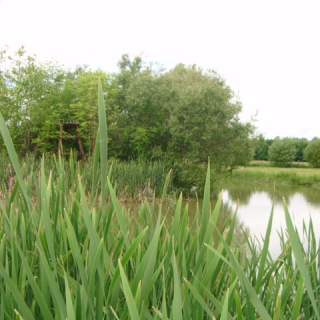 18 Montessori-Schulzentrum Leipzig - Schülerblog - Wallfahrt ins Kloster Helfta